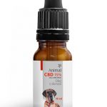 Olejek dla zwierząt CBD 15% 10ml Full Spectrum
