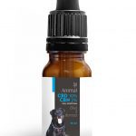 Olejek dla zwierząt CBD 10% + CBN 2% 10ml Full Spectrum